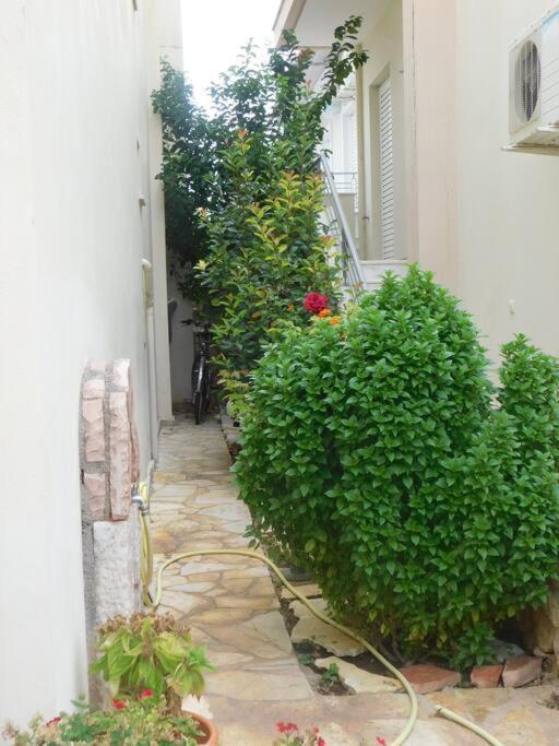 Studio Epicuros Nafplio Ngoại thất bức ảnh