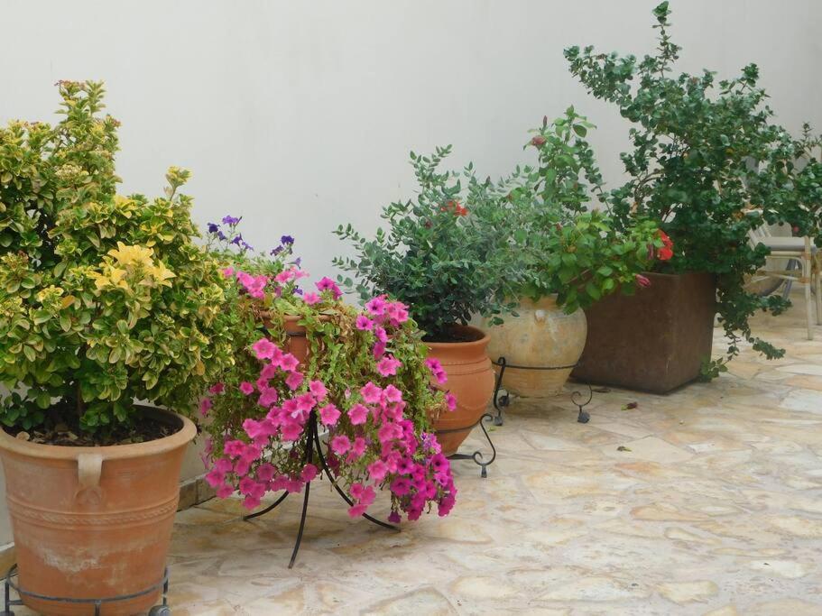 Studio Epicuros Nafplio Ngoại thất bức ảnh